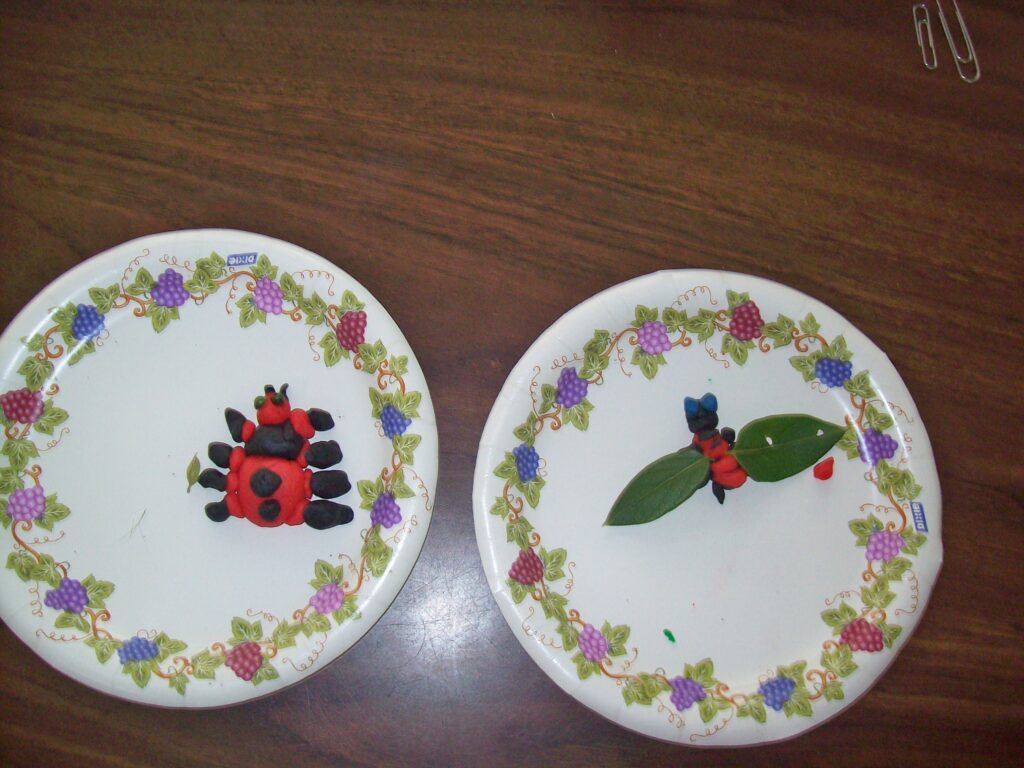 3-D insects students created