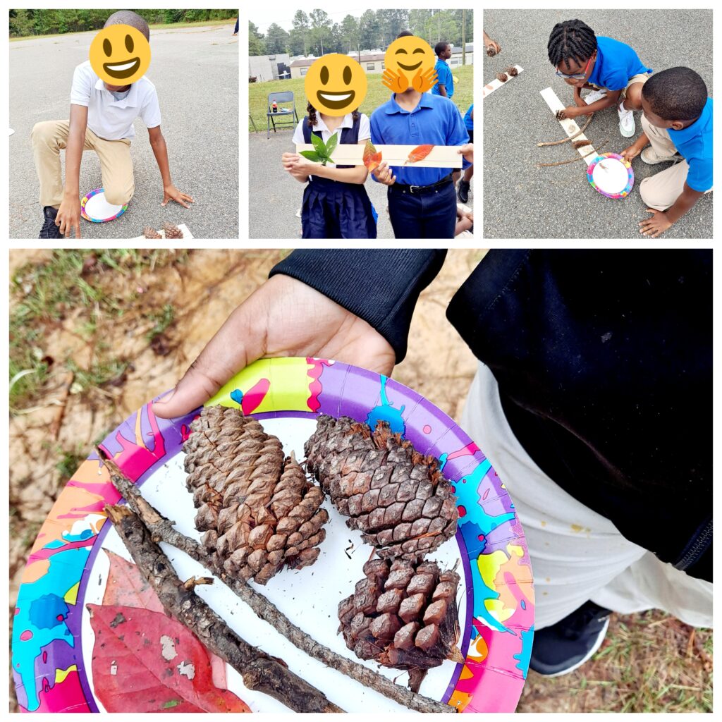 kids outdoors collecting leaves & identifying nature patterns