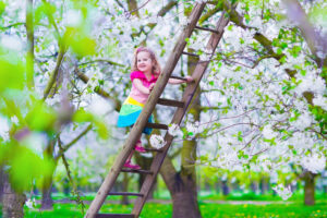little girl climbing a ladder in the spring time