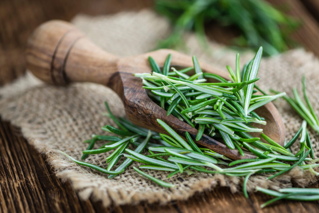 Rosemary that can be used to help with a spring scent in the classroom
