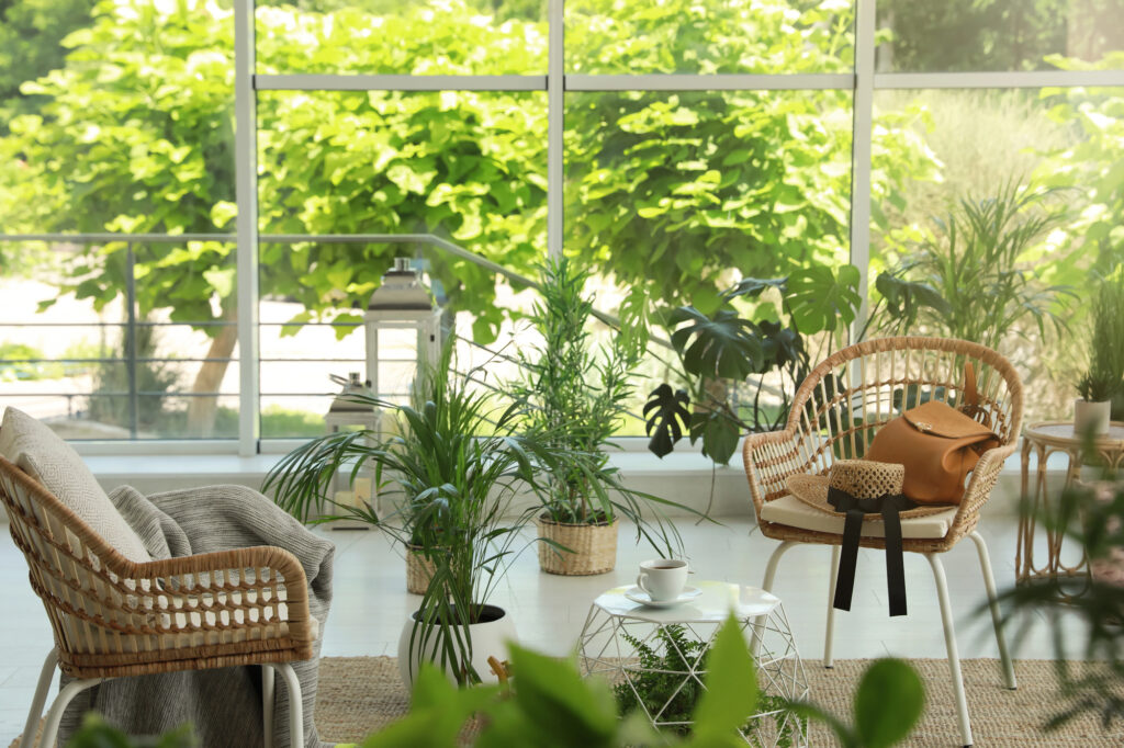 plants in a nature-inspired reading nook